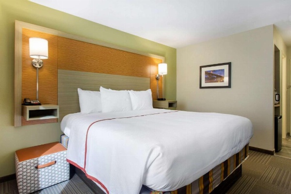 Gallus Stadium Park Inn, Ascend Hotel Collection image 12