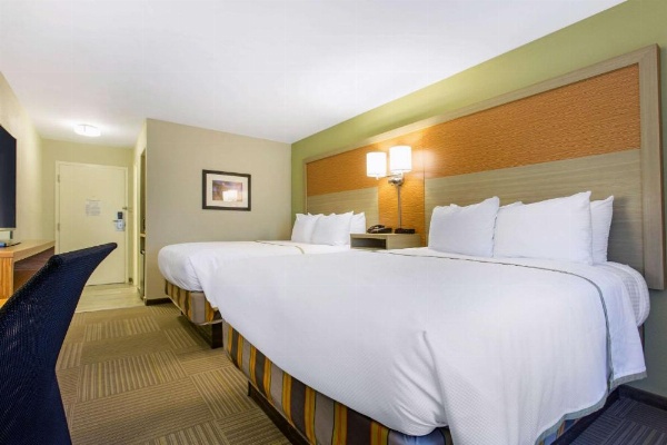 Gallus Stadium Park Inn, Ascend Hotel Collection image 16