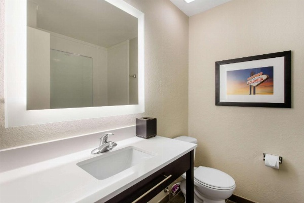 Gallus Stadium Park Inn, Ascend Hotel Collection image 20